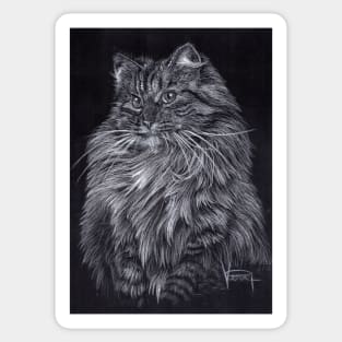 Siberian Cat Sticker